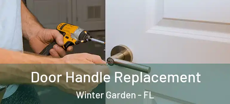 Door Handle Replacement Winter Garden - FL
