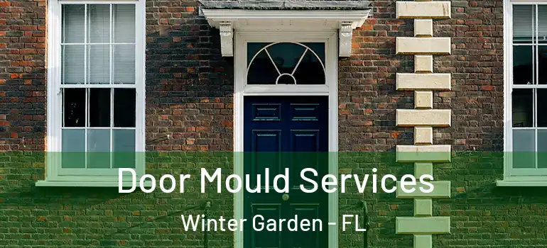  Door Mould Services Winter Garden - FL