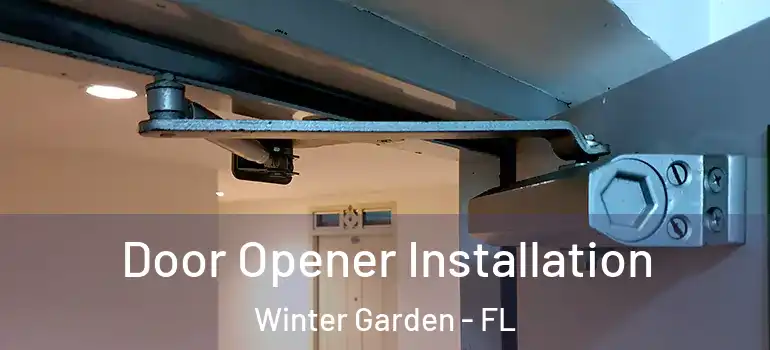  Door Opener Installation Winter Garden - FL