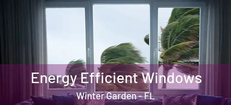  Energy Efficient Windows Winter Garden - FL
