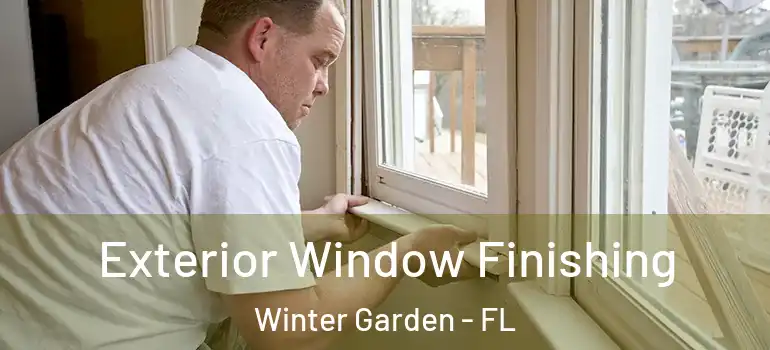 Exterior Window Finishing Winter Garden - FL