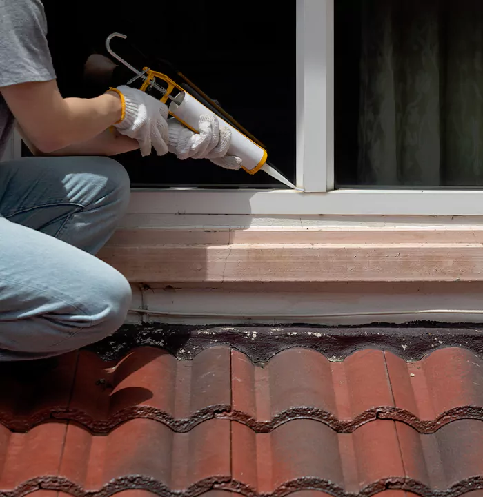 Roof Window Services in Winter Garden, Florida