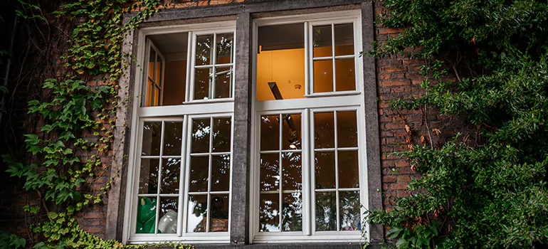 Energy Efficient Wood Windows in Winter Garden, FL