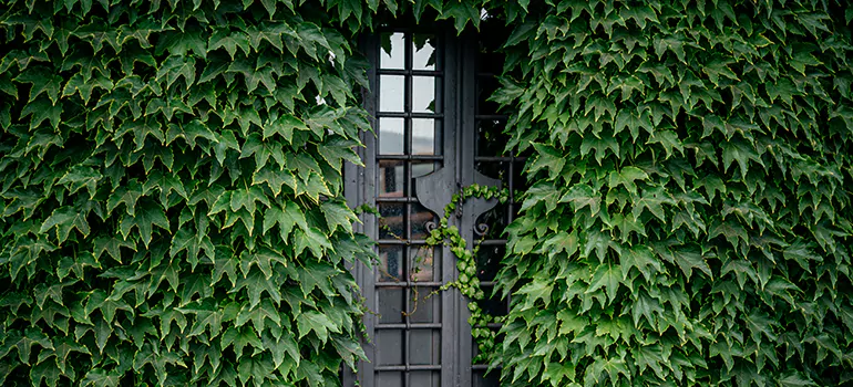 Garden Gate Repair in Winter Garden, FL