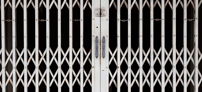 Steel Line Garage Door Repairs in Winter Garden, FL