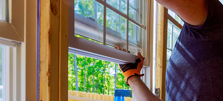 Decorative Window Film Services in Winter Garden, FL