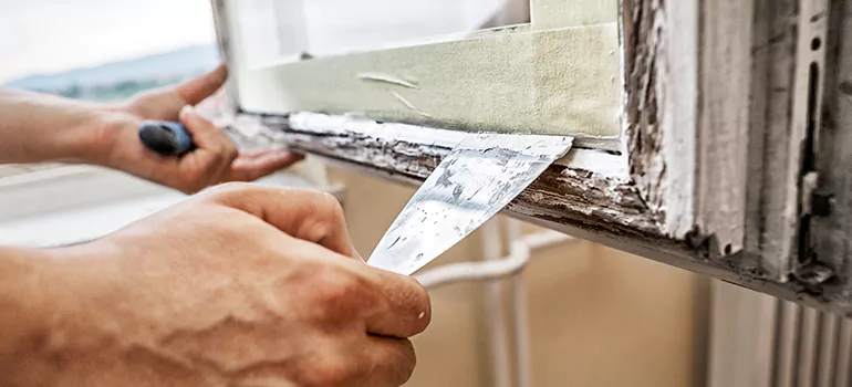 Exterior Window Frame Repair in Winter Garden, FL