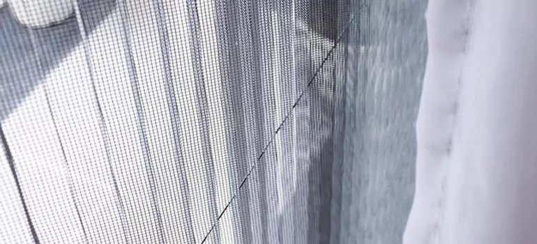 Fixing Screen Window Mesh in Winter Garden, FL