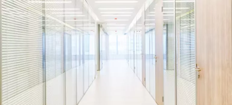 Frosted Glass Windows Replacement in Winter Garden, FL