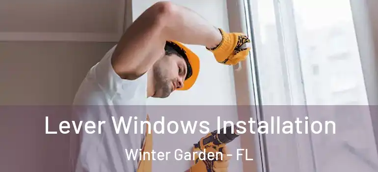  Lever Windows Installation Winter Garden - FL