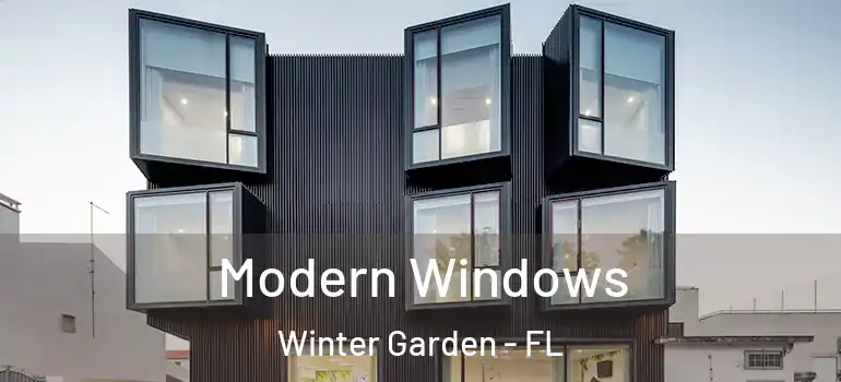  Modern Windows Winter Garden - FL