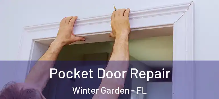  Pocket Door Repair Winter Garden - FL