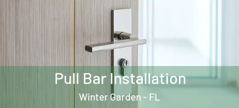  Pull Bar Installation Winter Garden - FL