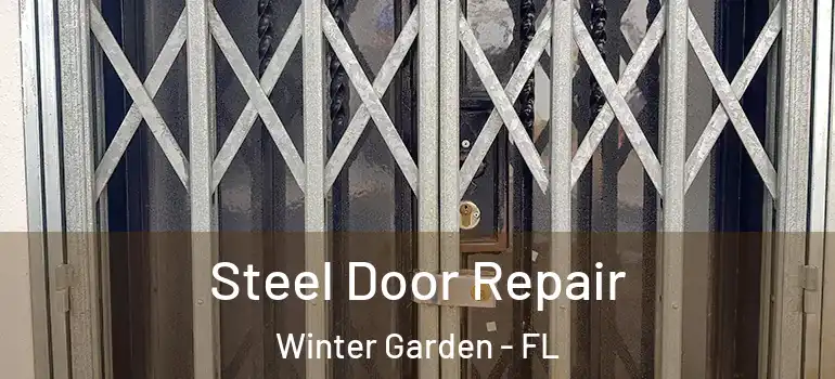  Steel Door Repair Winter Garden - FL