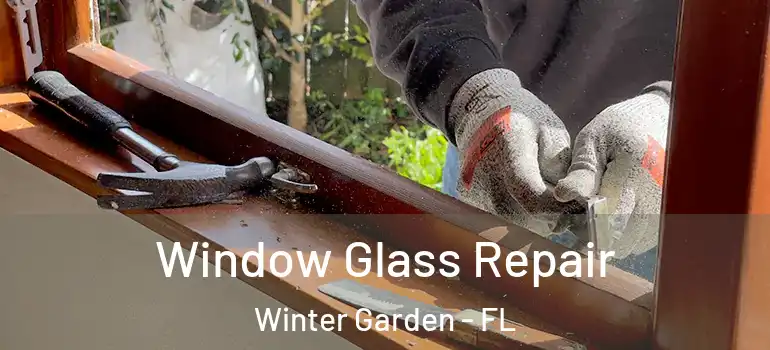  Window Glass Repair Winter Garden - FL