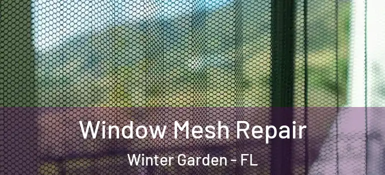  Window Mesh Repair Winter Garden - FL