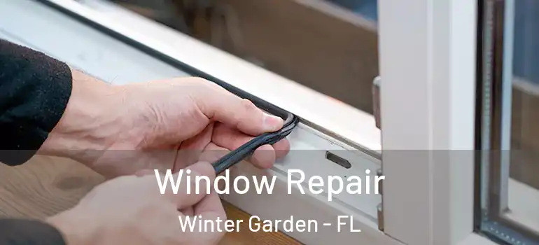  Window Repair Winter Garden - FL