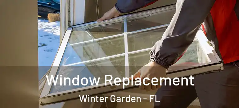  Window Replacement Winter Garden - FL