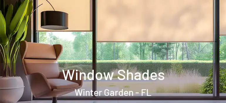  Window Shades Winter Garden - FL