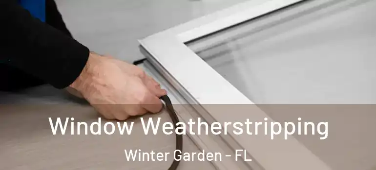  Window Weatherstripping Winter Garden - FL
